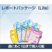 レボ一トパッケ一ジ (Lite)